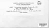 Image Associated With the Occurence